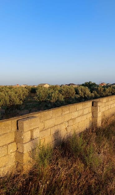 xacmazda torpaq satilir: 5 sot, Tikinti, Mülkiyyətçi, Kupça (Çıxarış) — 1