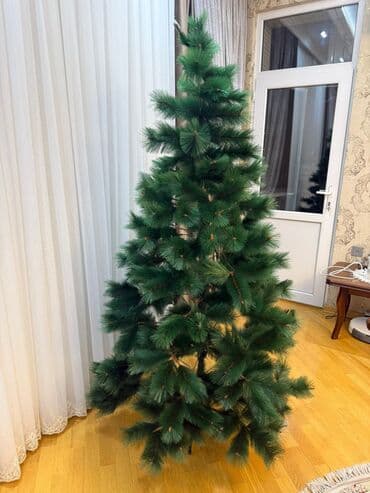 taxda ucuz: Yeni il ağacı – bəzəksiz (ikinci əl) - 2.1 m hündürlüyündə süni şam — 4