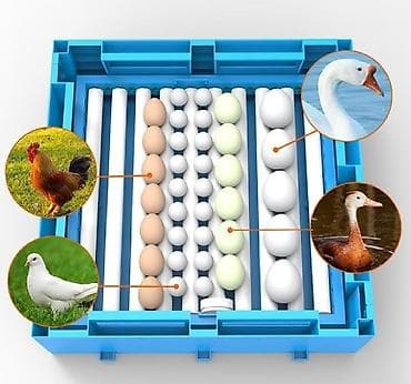 ınqbator: Çin, Fabrik istehsalı, Tam avtomat, Bütün növ quşlaq üçün — 6