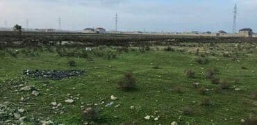 xocesende torpaq: 83 sot — 1