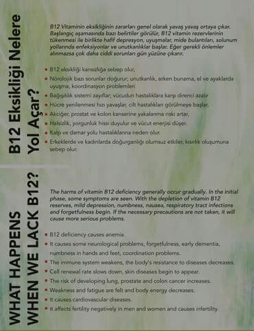 sistem qosmaq: ONE MORE B12+ B12 beynimiz üçün süt tabiri adlandırılır. Qan — 4