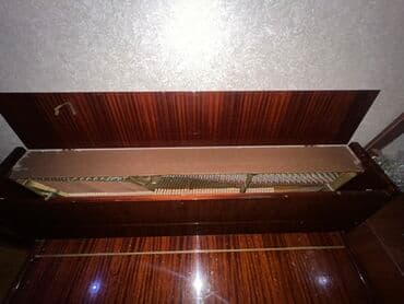 Fleytalar: Piano, Petrof, Akustik — 4