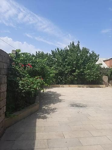 goycayda evler: - Geniş, daşla döşənmiş həyət: yaşıl ağaclar, gül kolları, hasarlı — 2