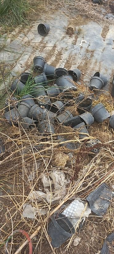 Gübrələr: Məhsul: Plastik şitil/saksı qabları (toplu) salam plastik qablar — 1