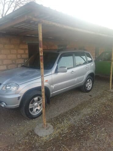disk təkərlər: Chevrolet Niva: 1.7 l | 2010 il 169817 km Ofrouder/SUV — 6
