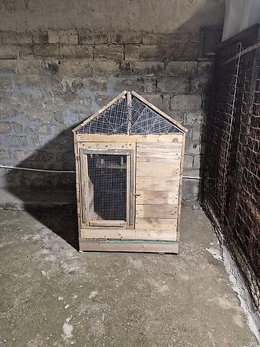 heyvan doşəyi: Taxta heyvan yuvası/mini toyuq kümesi - Material: qalın taxta — 4