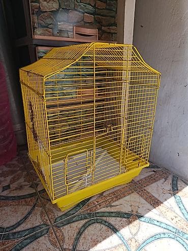Sarı metaldan quş qəfəsi Su qabi yem qabi yellencek ustunde qus yemi — 1