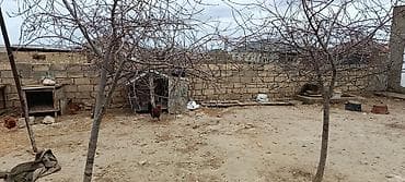 ucar rayonu: Tikinti, Kupça (Çıxarış) — 3