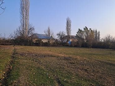 cefer xendan kucesi: 25 sot, Mülkiyyətçi — 2