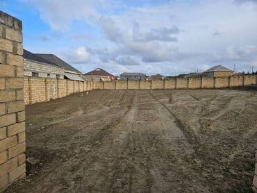 6 sot, Tikinti, Kupça (Çıxarış)