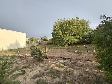 razinde kiraye evler: 8 sot, Tikinti, Mülkiyyətçi, Kupça (Çıxarış) — 4