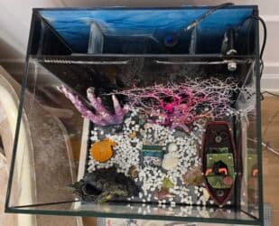 компрессор для аквариума бишкек: Akvaryum satılır – hər şey daxil - Şüşə akvarium, üstten filtrləmə — 3