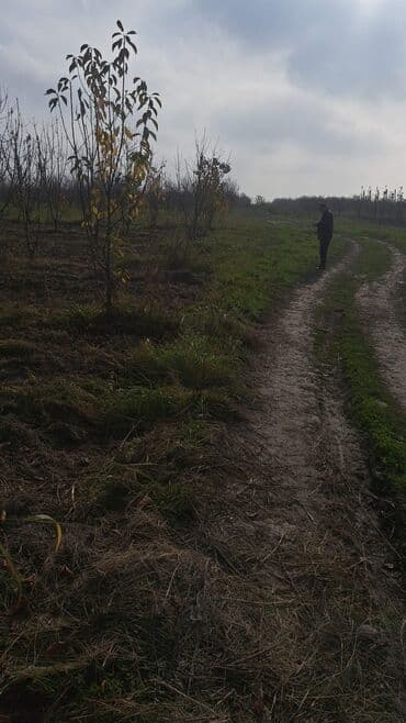 купить 1 комнатную квартиру в баку: Quba-Xaçmaz ərazisindədir Asvalt yola 5km yaxınlıqda 6 illik karmen — 4