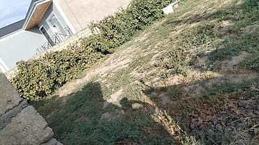 4 otaqlı evlər: 10 sot, Tikinti, Mülkiyyətçi, Kupça (Çıxarış) — 2