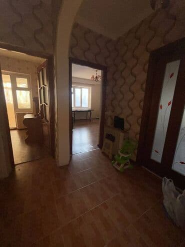 elmler kiraye: Yasamal rayonu,Elmlər Akademiyası, Statistika Komitəsinin yanı, 17 — 1