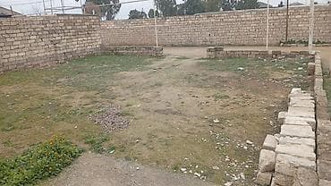 Torpaq: 15 sot, Tikinti — 1