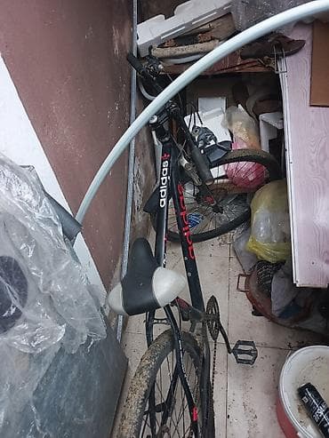 velas: Velosiped – Adidas brend yazılı, dağ/şəhər tipli Xüsusiyyətlər: - — 1