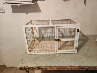 ag dovsan: Dovşan,cücə,pişik,hamster,quş ve s kimi ev heyvanlari üçün qəfəsler — 1