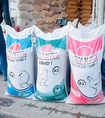 ağdaş yem fabriki: Salam Cücə yeminin satişi zakzlada çatdırılma var Sumqayıt daxili — 4