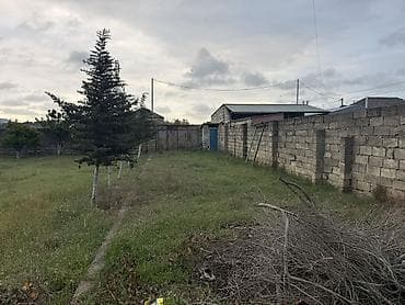 mountain breeze quba: 17 sot, Tikinti, Kupça (Çıxarış) — 4