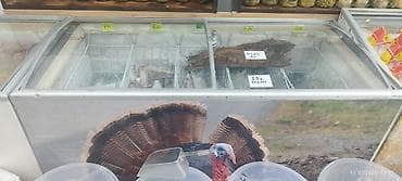 Dondurulmuş və qurudulmuş balıq məhsulları – market vitrinində çeşidli