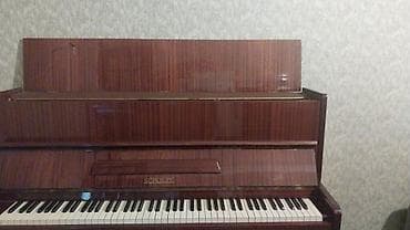 gitara akustik: Piano, Akustik, İşlənmiş — 7