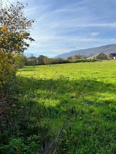 avtovagzalda kiraye evler 2023: 18 sot, Biznes üçün, Kupça (Çıxarış) — 8