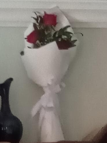 generator mini: Məhsul: QIANHUI Mini Portable Wipes – yaş salfetlər - Kompakt və — 1