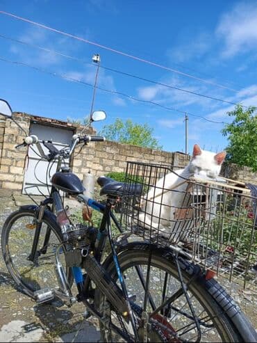 литература 6 класс учебник азербайджан: Benzin mühərrikli velosiped Xüsusiyyətlər: - Velosiped şassisində — 3