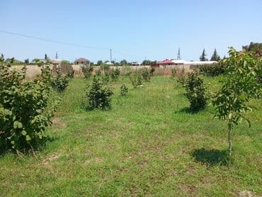 xırdalan kirayə evlər 3 otaqlı: 8 sot, Tikinti, Mülkiyyətçi, Texniki pasport — 2