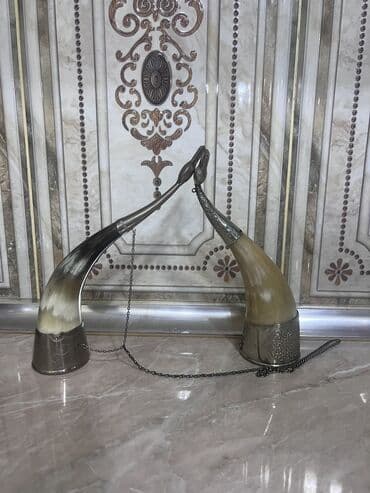 Hyundai: Buynuz gumusden ibaretdir orginal qedimidir — 4