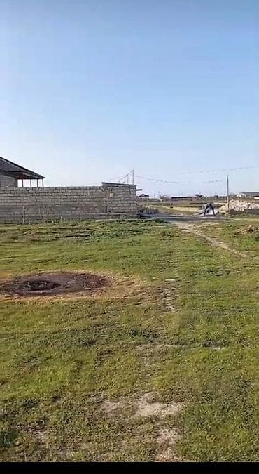 topaq: Tikinti, Kupça (Çıxarış) — 1