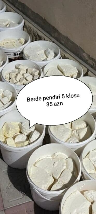 hilba bitkisi nedir: Диван — 1
