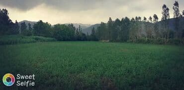 Otaqlar: 80 sot, Mülkiyyətçi — 4