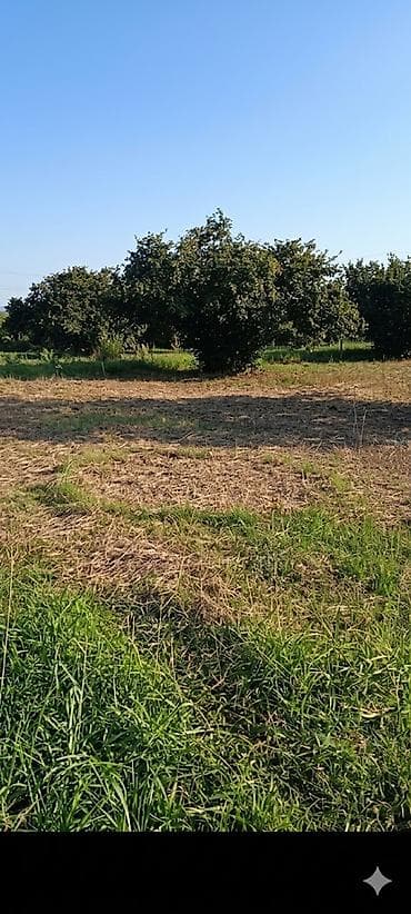tap az sumqayit: 50 sot, Tikinti, Mülkiyyətçi, Kupça (Çıxarış) — 2