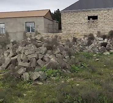 Kubiklər, Kredit yoxdur