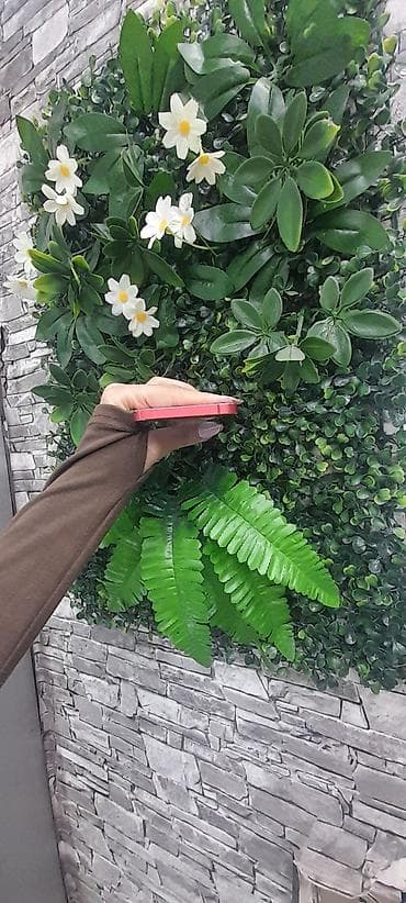 ıphone: IPhone 12, 128 GB, Qırmızı, Face ID — 5