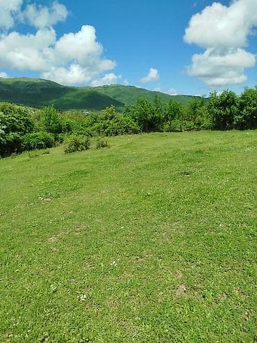 27 sot, Tikinti, Mülkiyyətçi, Kupça (Çıxarış)