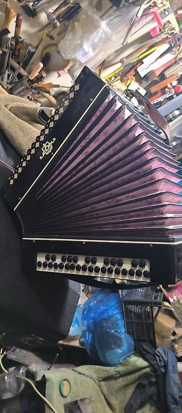 akkardeon: Akustik Akkordeon, Yeni — 6