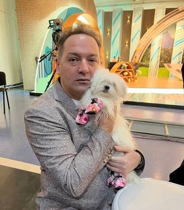 pişik satişi: Malta bolonka — 17