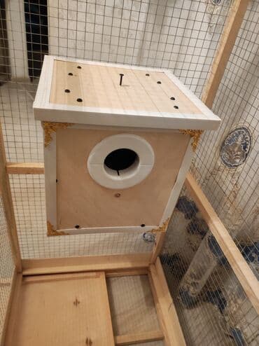 xamyak qəfəs: Papuqay,dovşan,hamster,şinşila,bildirçin,cücə,xamyak,pişik,quş,tısbağa — 5