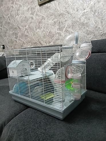 Qəfəslər: Xortdanlar/siçanlar üçün tam dəst qəfəs. Baha alınıb. Möhkəm metal — 2
