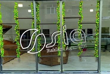 qisa aid sekiller: Meyvə vitrini sifairşi — 2