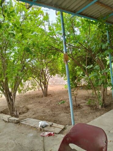 аренда и продажа недвижимости: 100 kv. m, 3 otaqlı, Hovuzlu, Artezian quyusu, Su, Kombi — 8