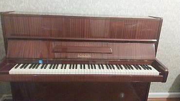 gitara akustik: Piano, Akustik, İşlənmiş — 5