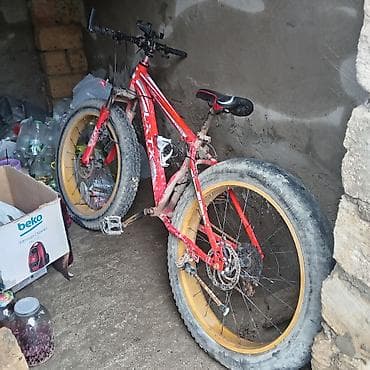 start betty 29: Fatbike tipli dağ velosipedi - Rəng: qırmızı, sarı təkər haşiyələri - — 2