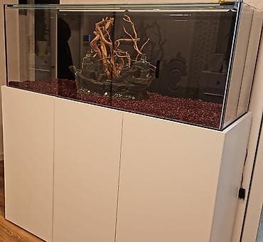 yumru akvarium: Dördbucaq akvarium, 450 l — 3