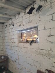 quş yuvasi: 4 manat Təsvir: - Növlər: müxtəlif rəng və naxışlarda ev/oyun — 6