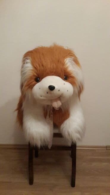 toy donlarl: Satilir.Yenidi — 2