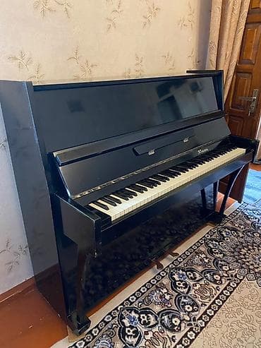 Musiqi alətləri: Upright pianino – “Kuban” markası, klassik qara cilalı korpus — 4